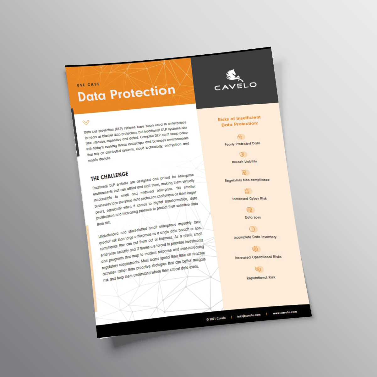 Data Protection Use Case